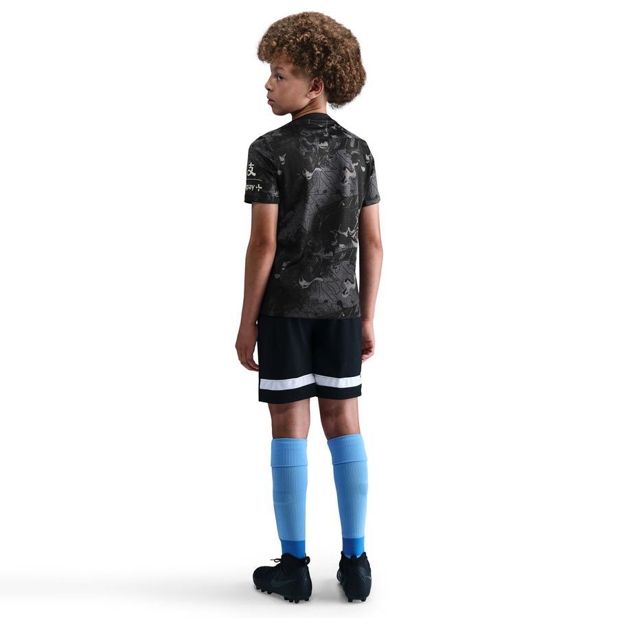 Tottenham Training T-Shirt Dri-FIT Academy Pro Pre Match - Black/Medium Ash/Light Iron Ore Kids-SoccerKits Hub | Buy Soccer Jerseys Online
